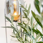 Appartement Urban Cozy - *