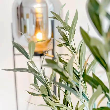 Apartment Urban Cozy - *