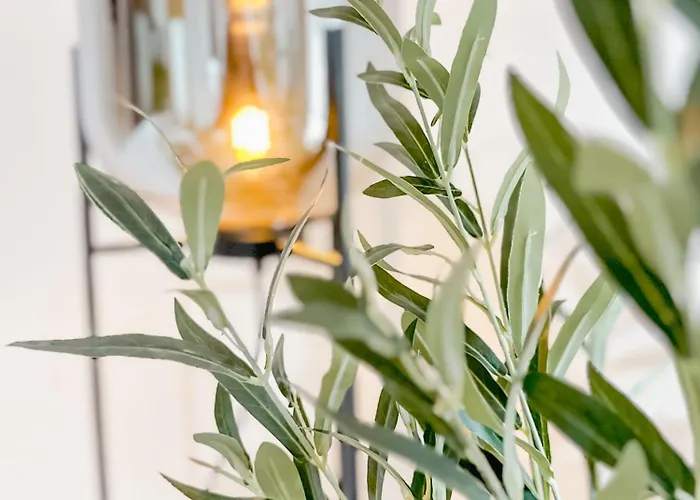 Apartamento Urban Cozy - *